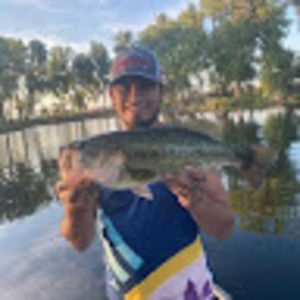 Meet your Posher, Joe-al